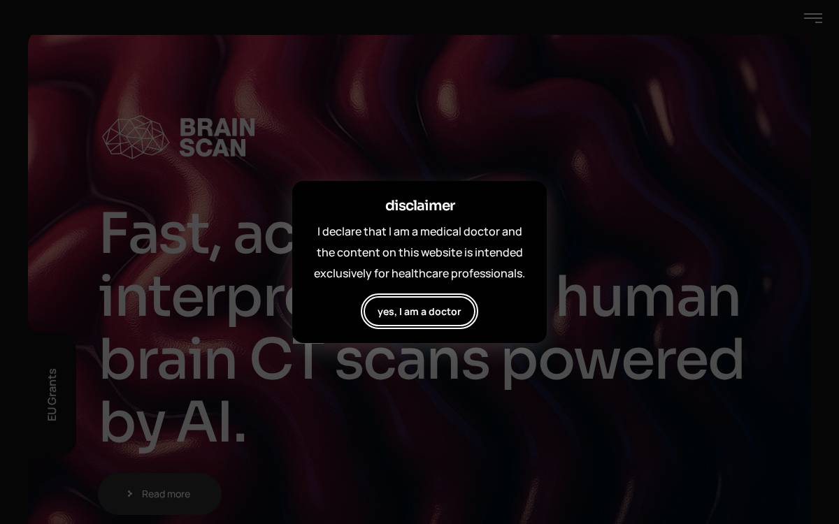 Brainscan website preview