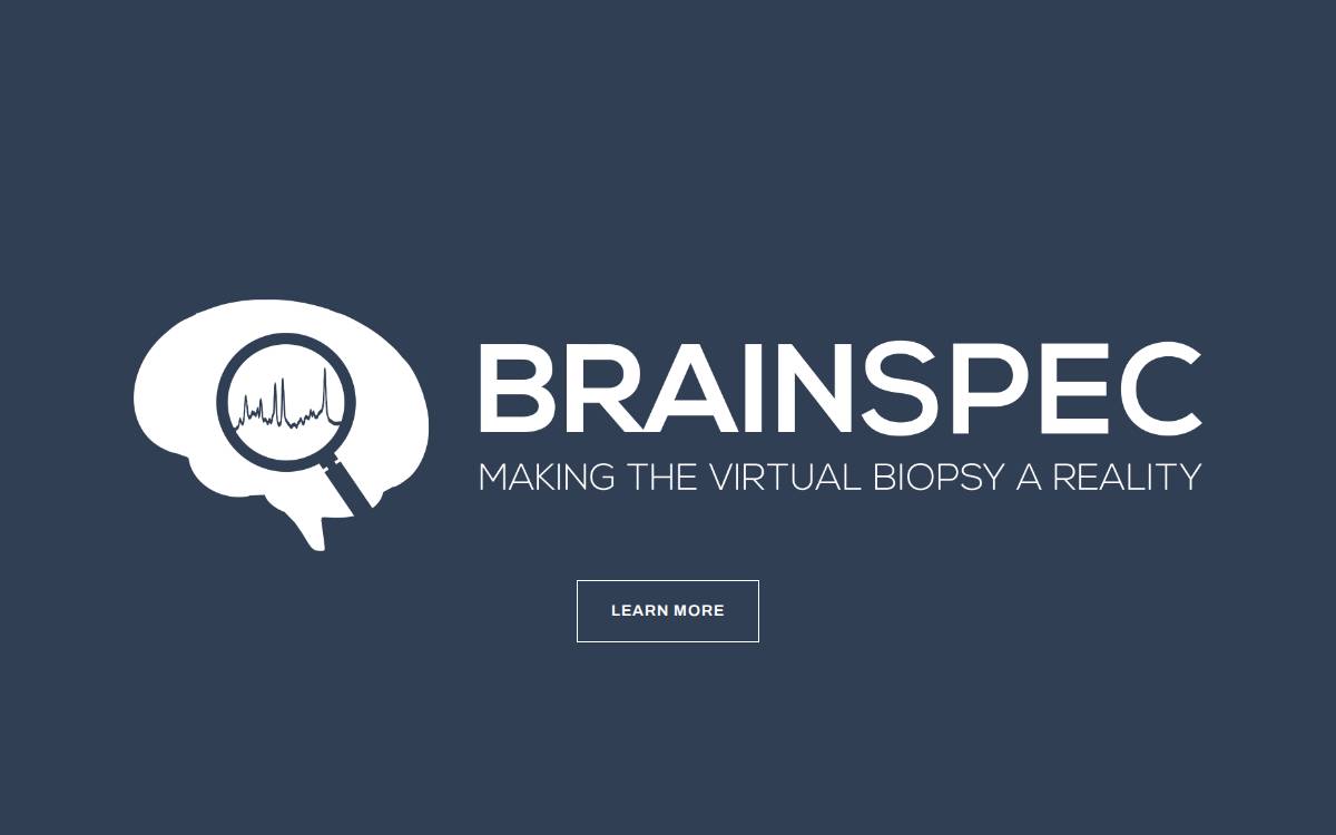 BrainSpec website preview