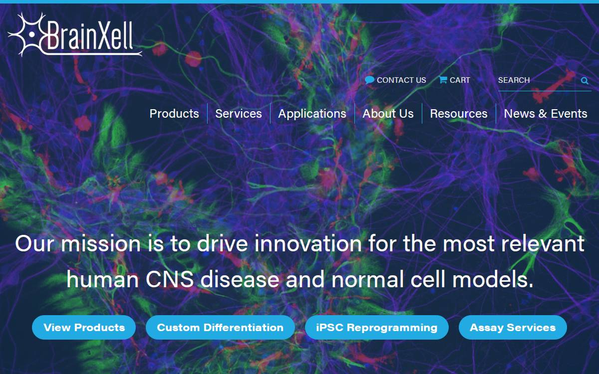 BrainXell website preview