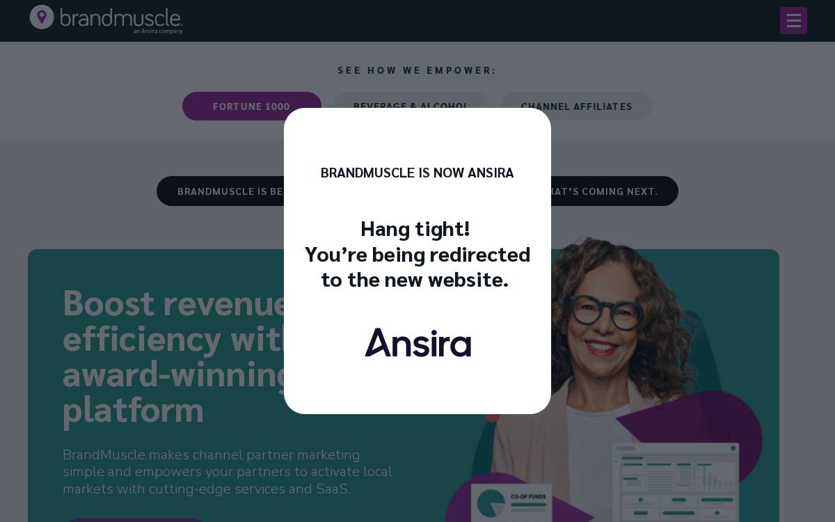 Brandmuscle website preview