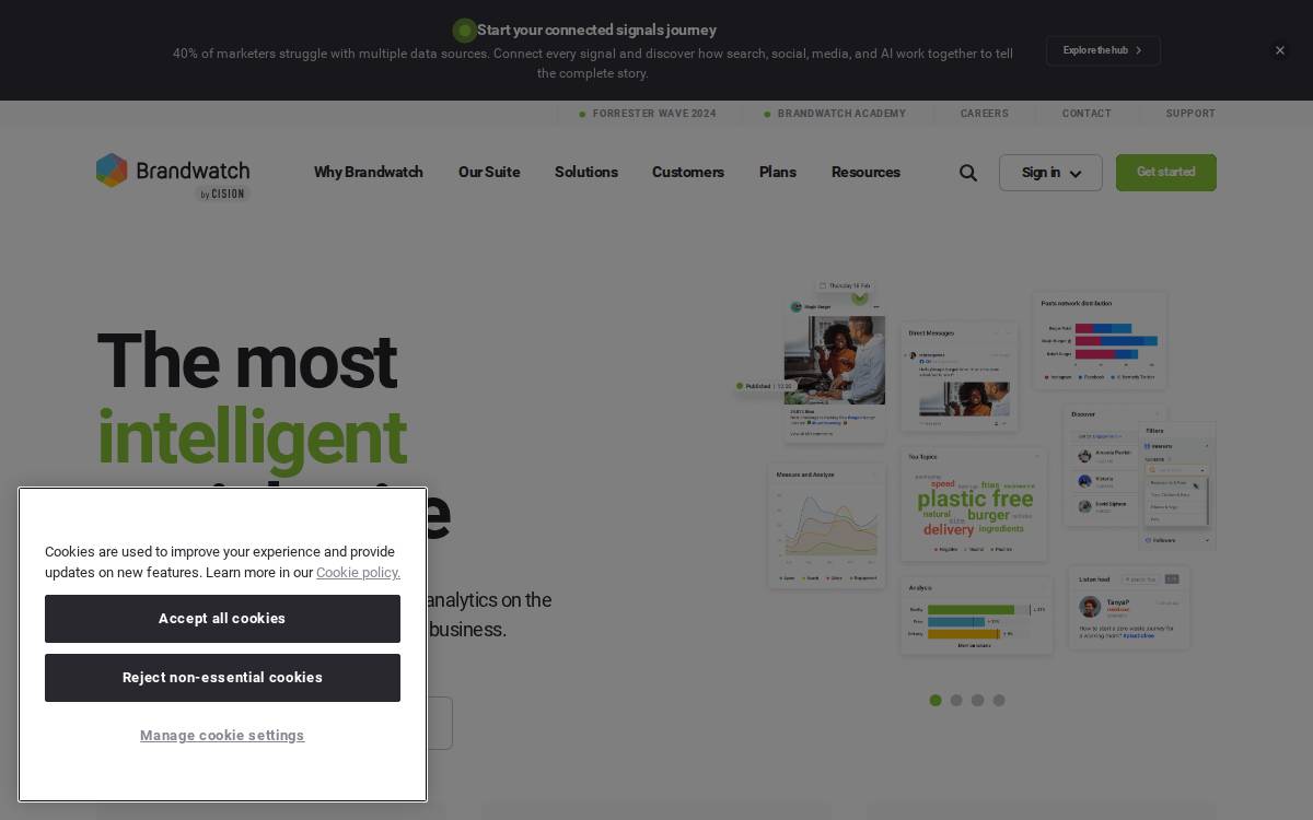 Brandwatch Exits false website preview
