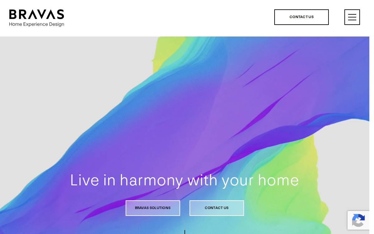 Bravas website preview