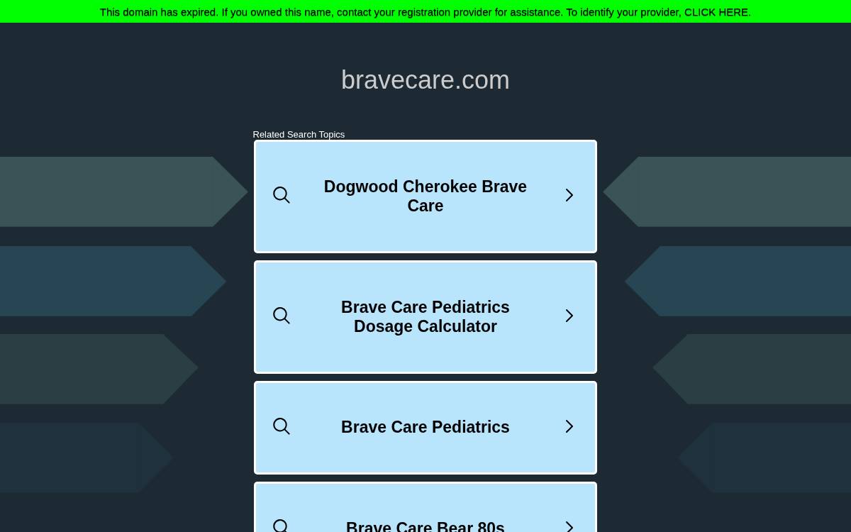 Brave Care website preview