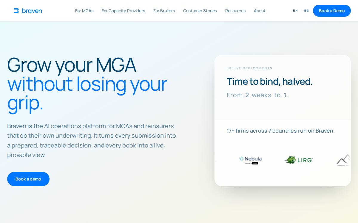 Braven website preview