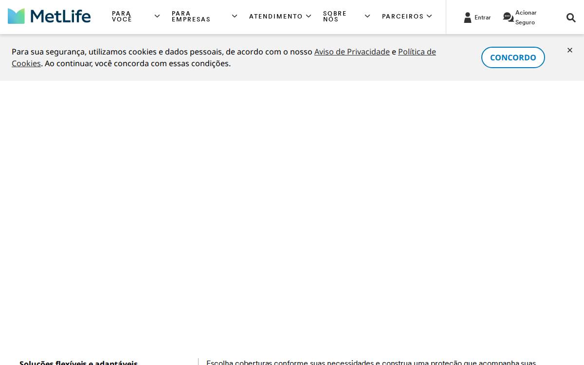 Brazil website preview