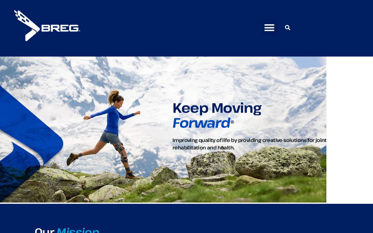 Breg website preview