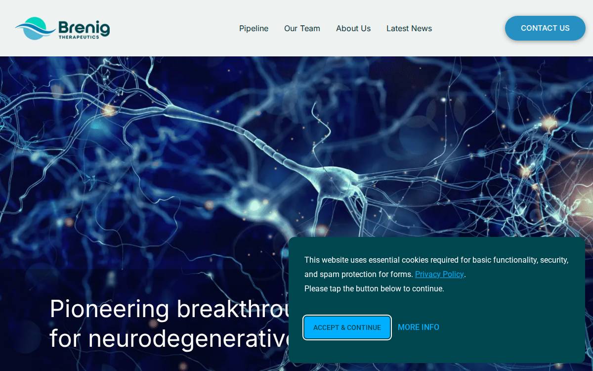Brenigther website preview