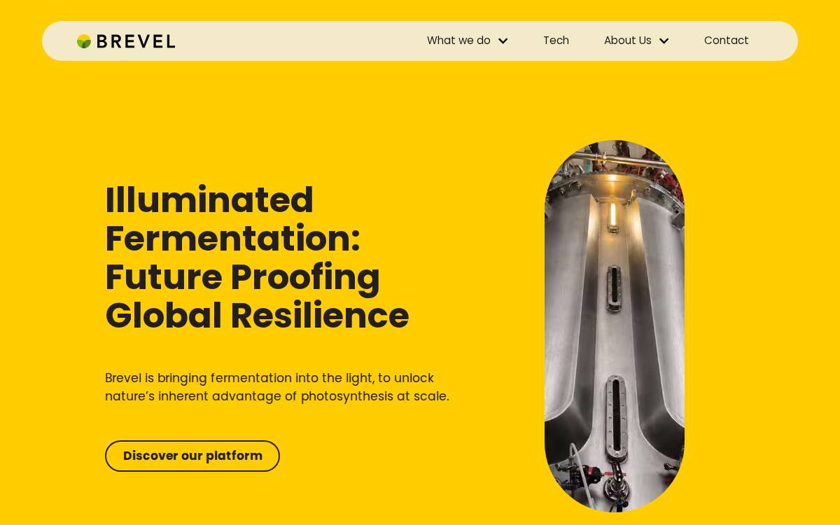 Brevel website preview