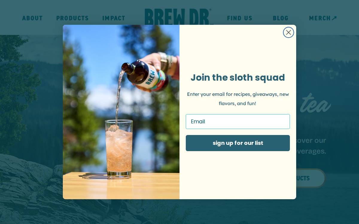 Brew Dr. Kombucha website preview