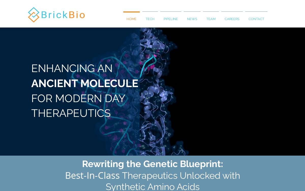 Brickbio website preview
