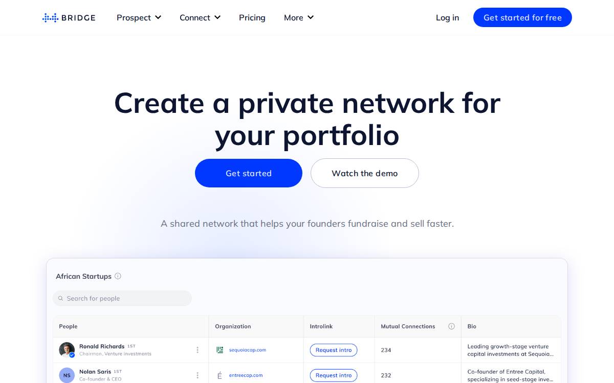 Bridge website preview
