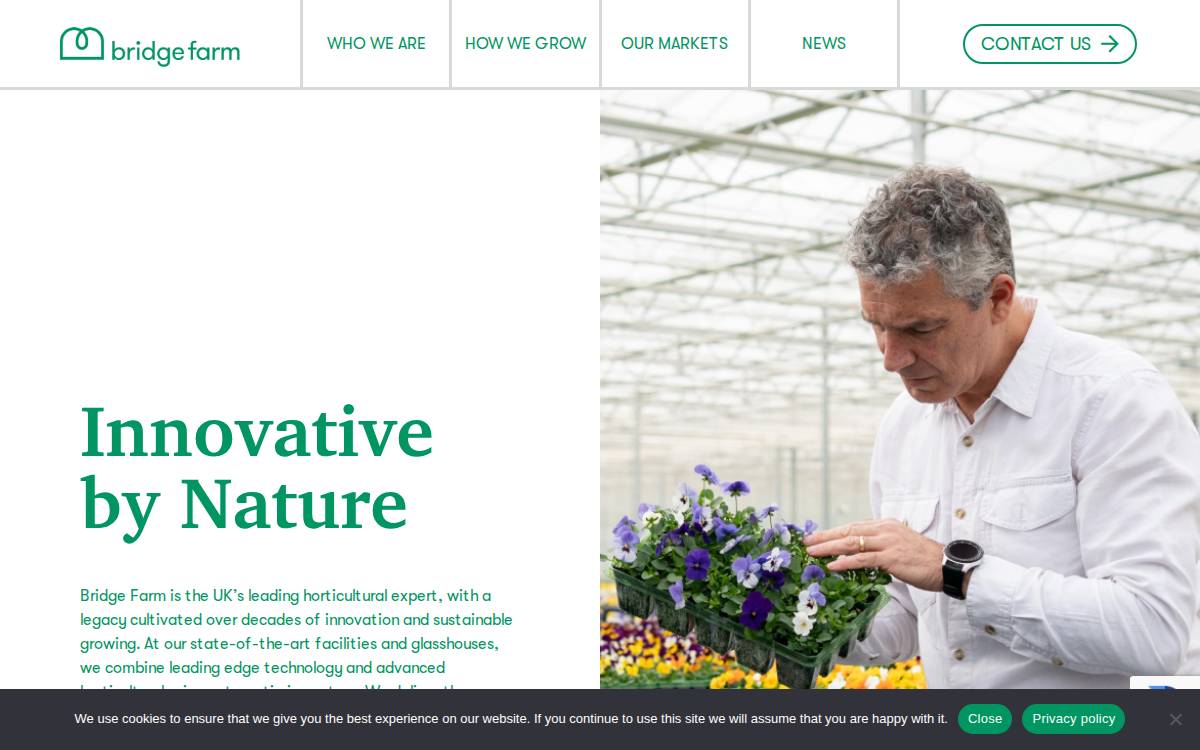 Bridge Farm Group website preview