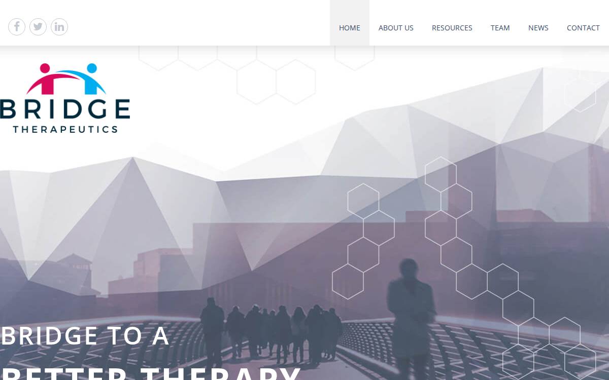 Bridge Therapeutics website preview