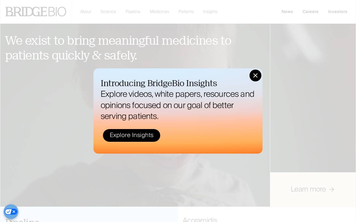 Bridgebio website preview