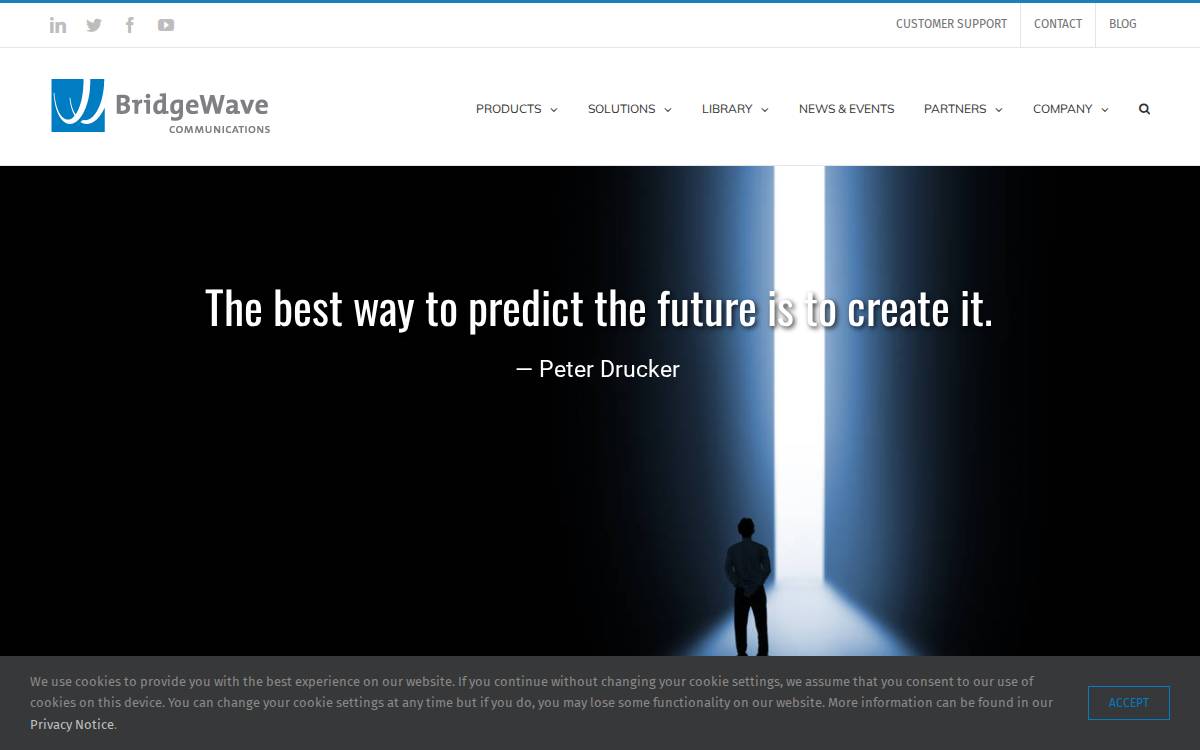 Bridgewave website preview