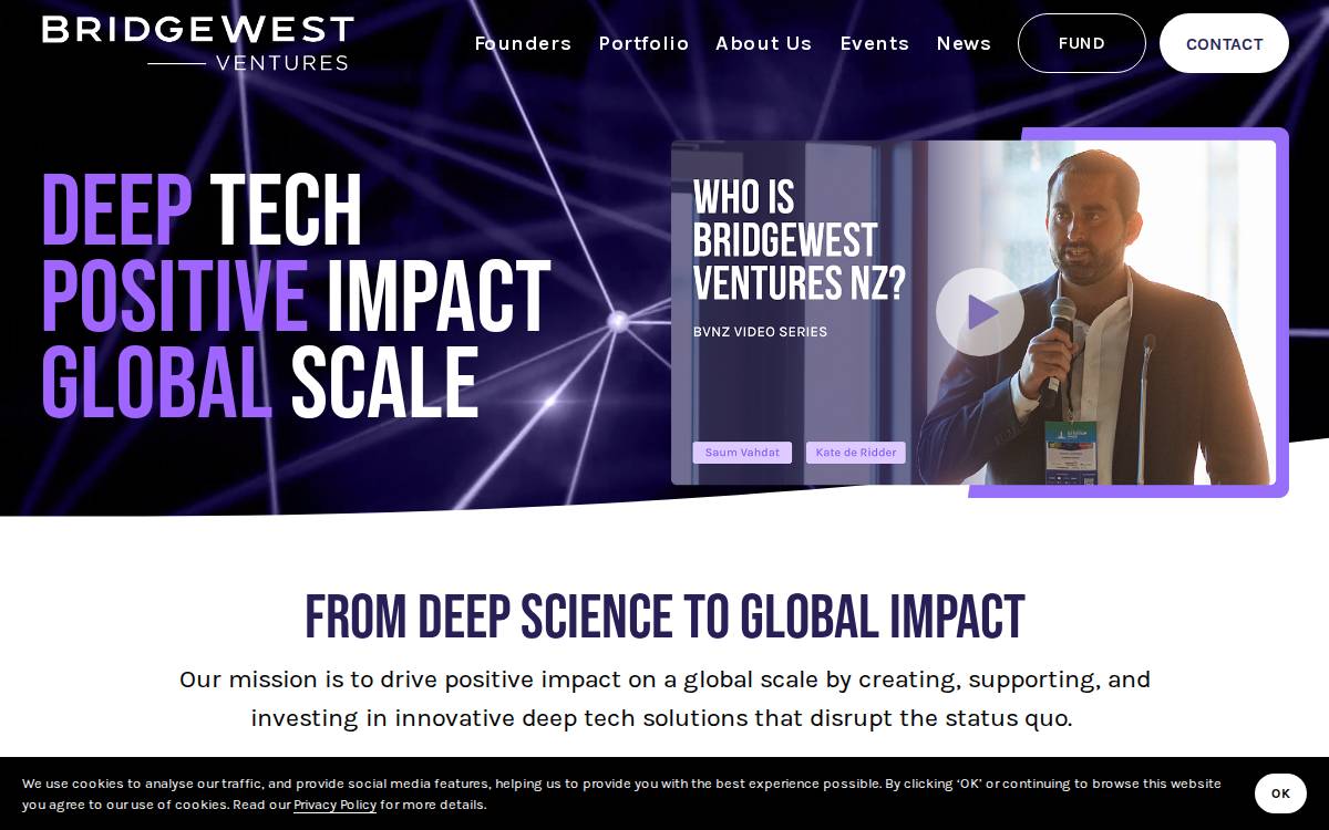 Bridgewest Ventures website preview