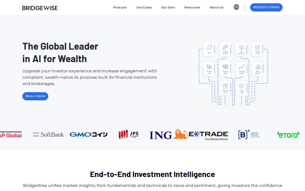 BridgeWise website preview