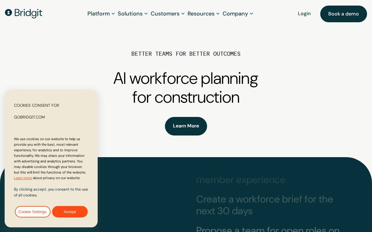 Bridgit website preview