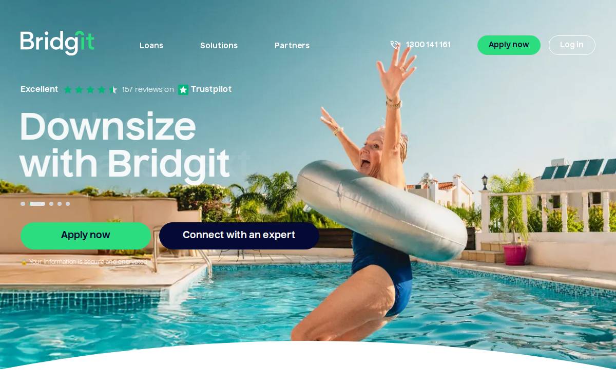 Bridgit website preview