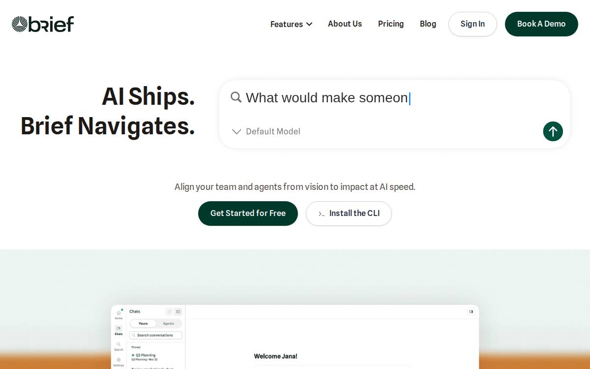 Brief website preview