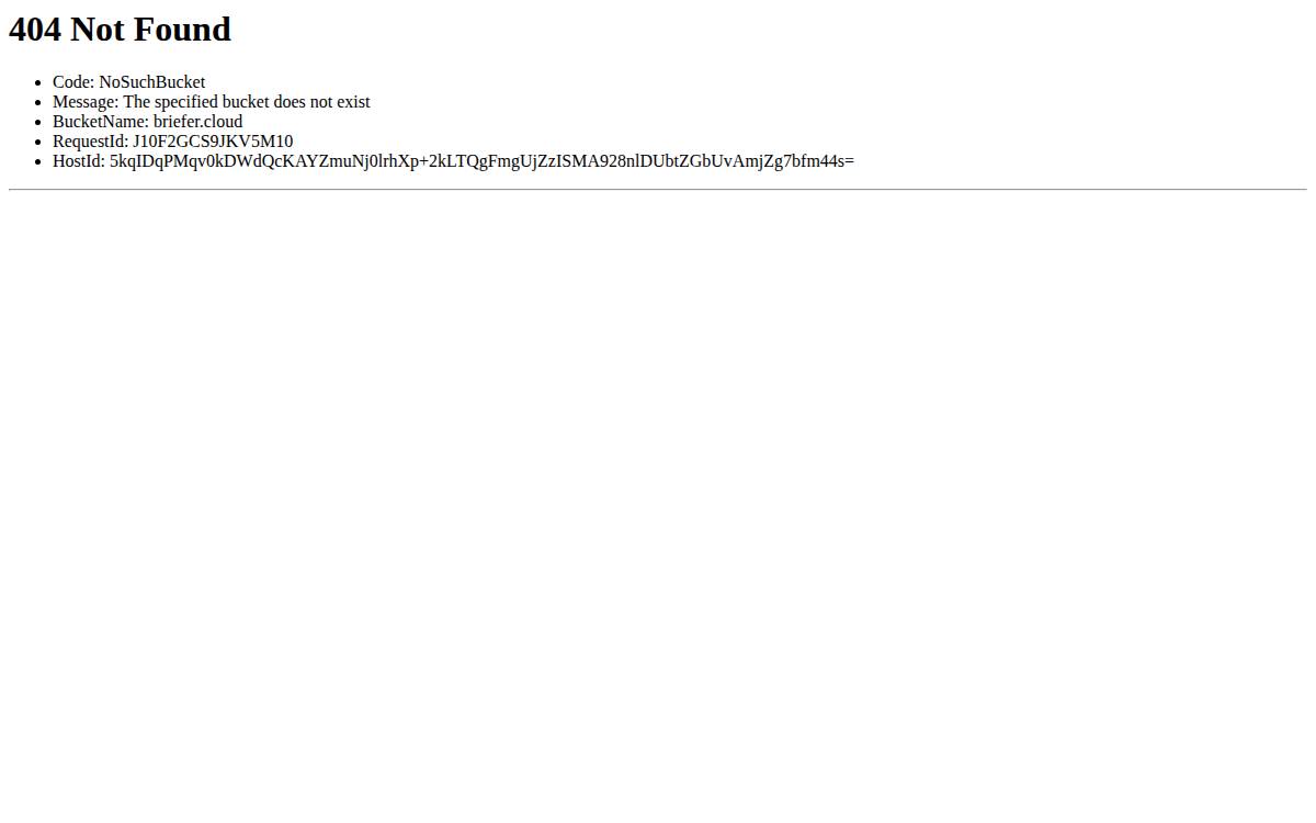 Briefer website preview