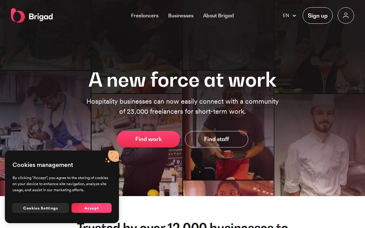 Brigad website preview