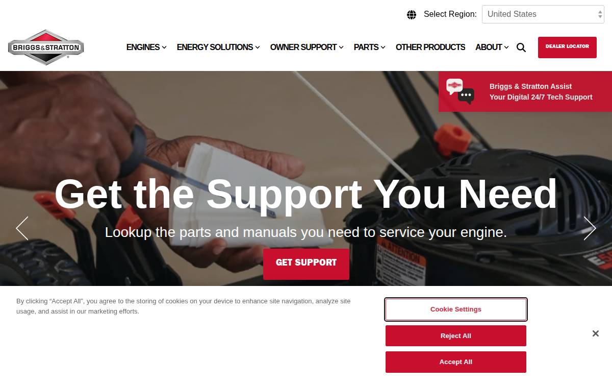 Briggs & Stratton website preview
