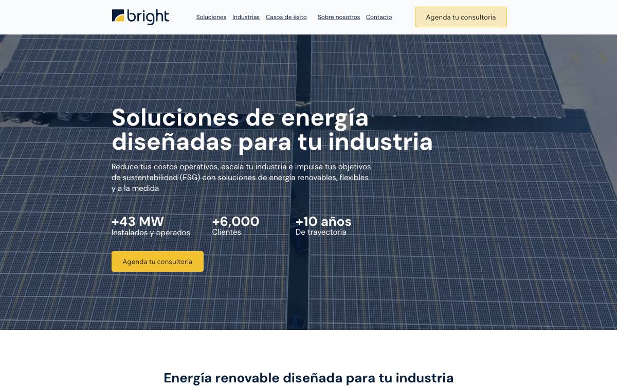 Bright website preview