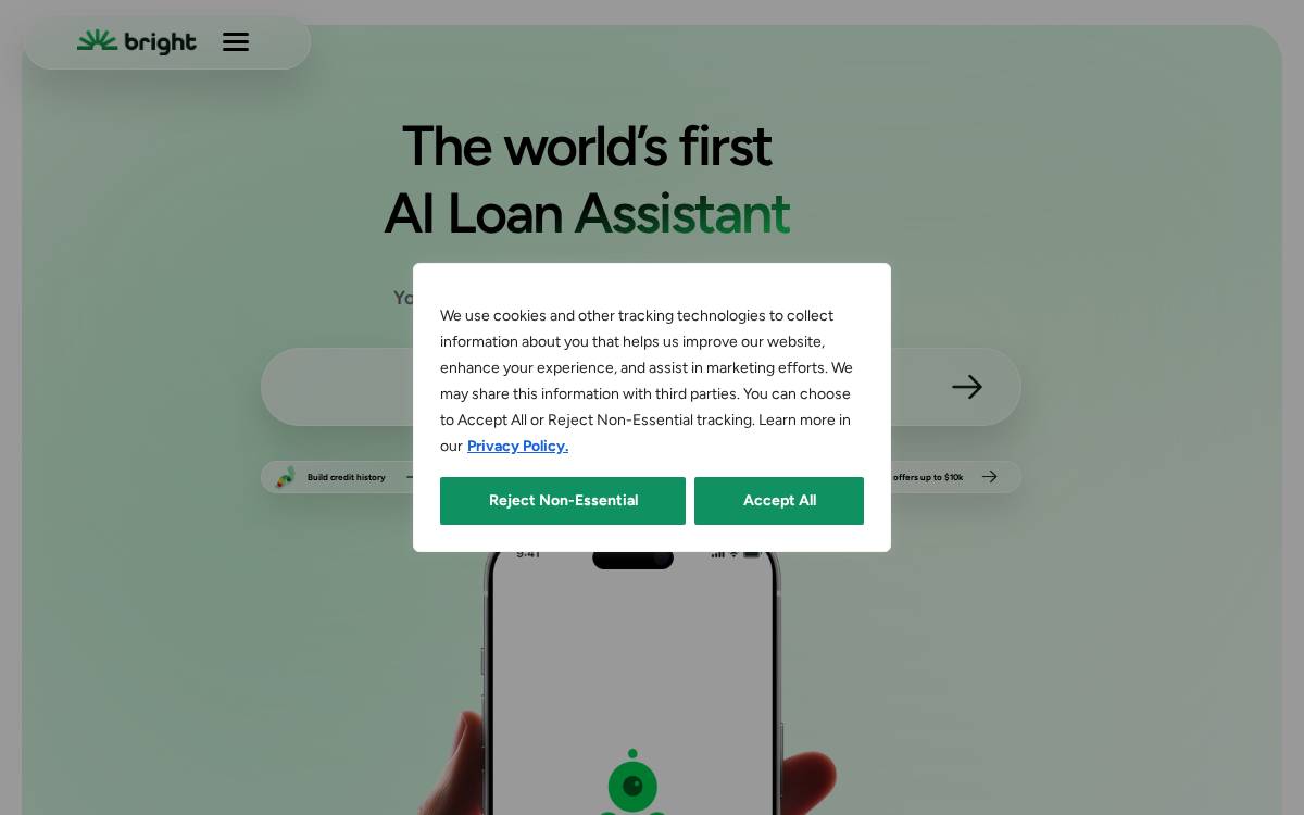 Bright website preview