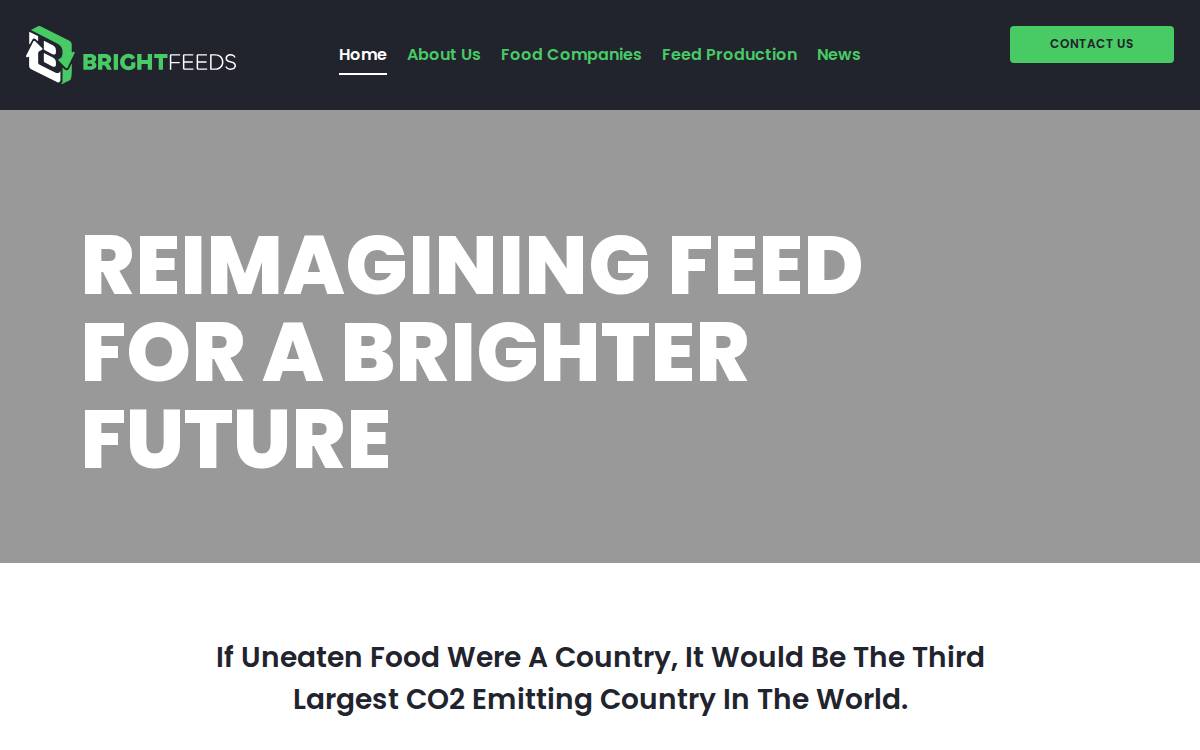 Bright Feeds website preview