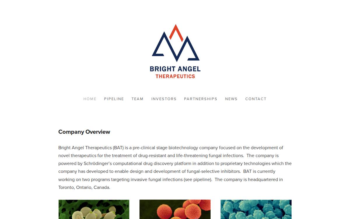 Brightangeltherapeutics website preview