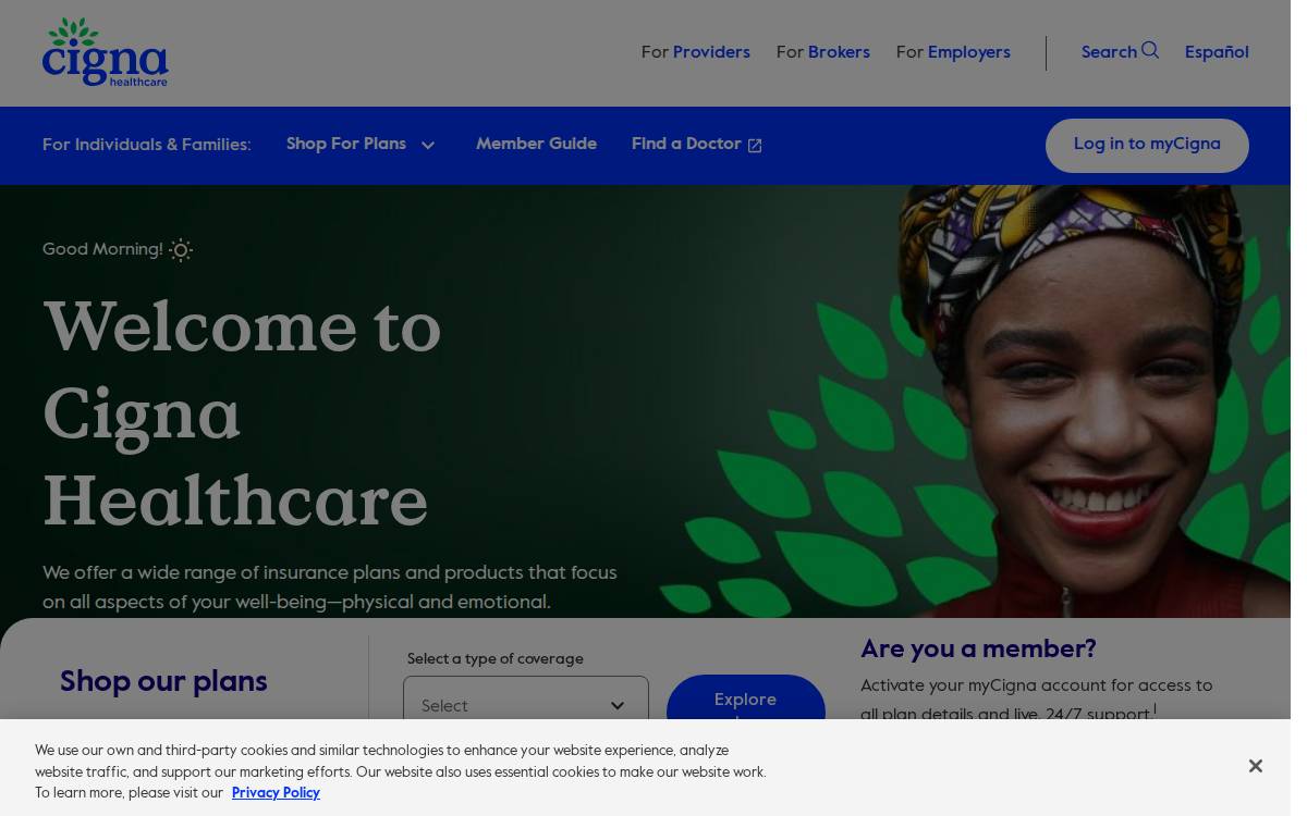 Brighter website preview