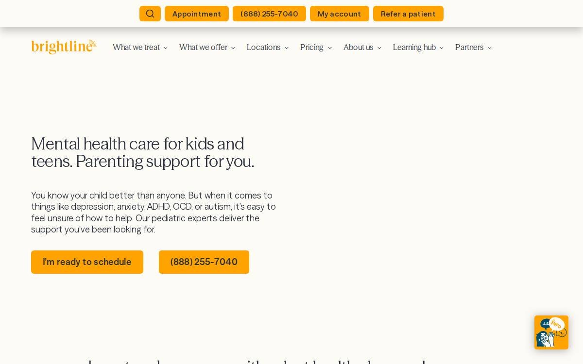 Brightline website preview