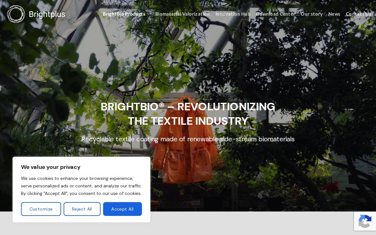 Brightplus website preview