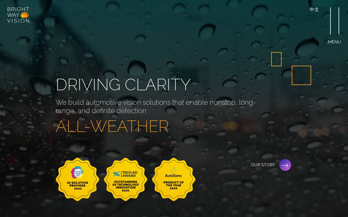 BrightWay Vision website preview