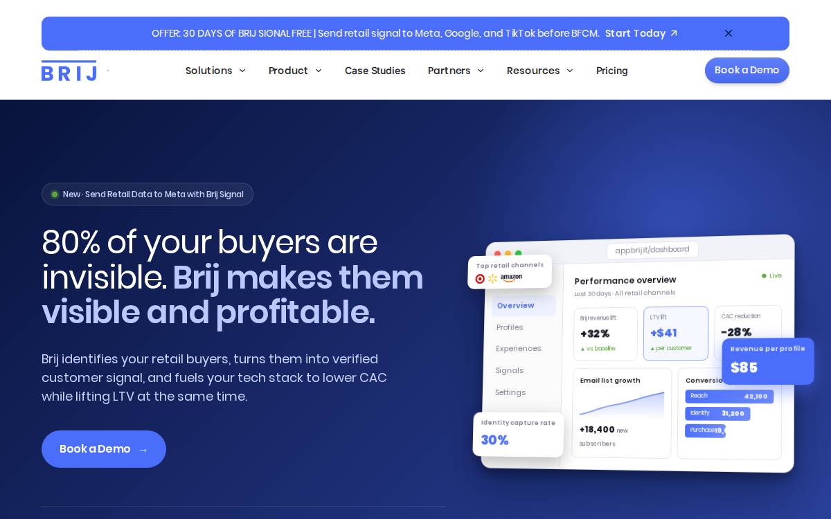 Brij website preview