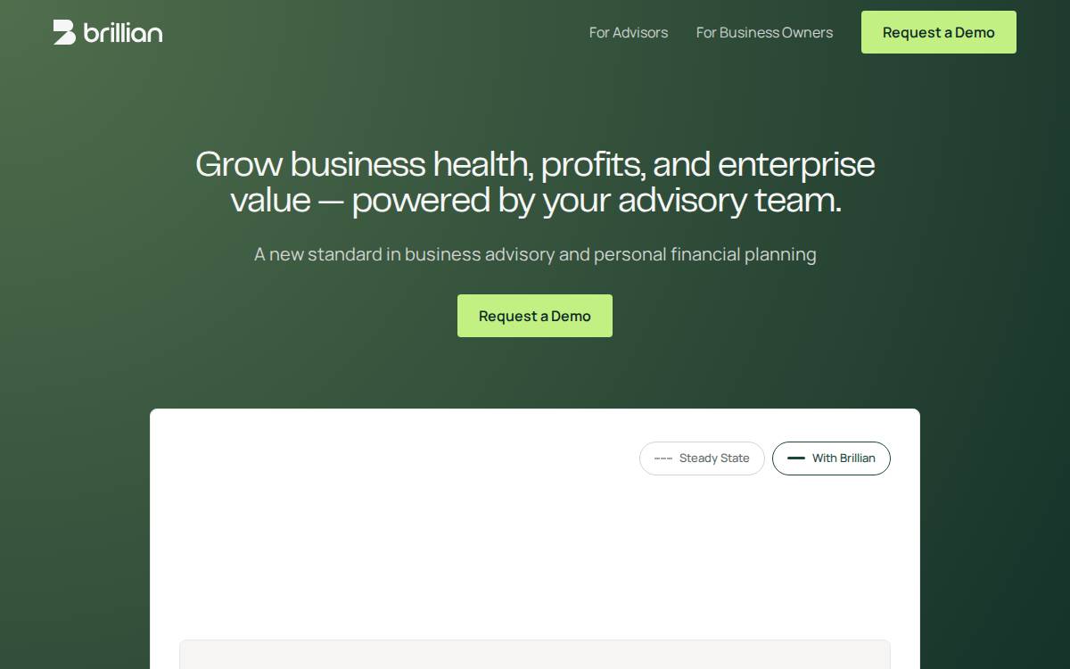 Brillian website preview