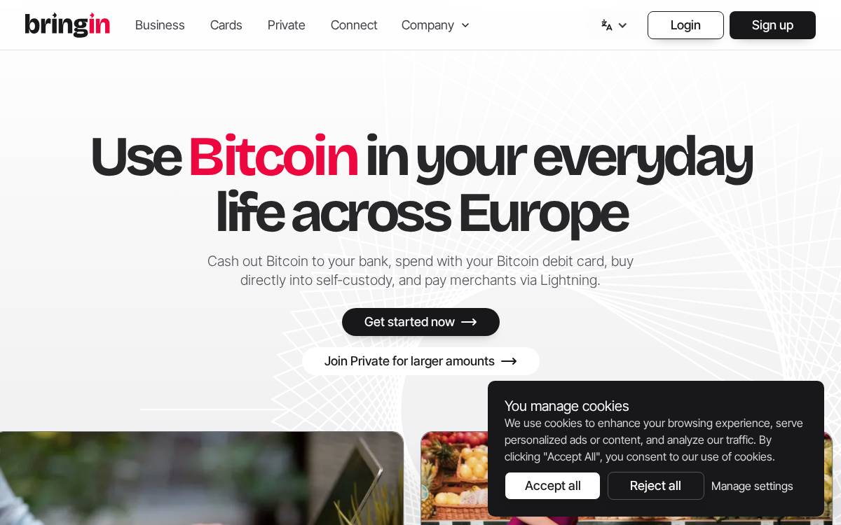 Bringin website preview