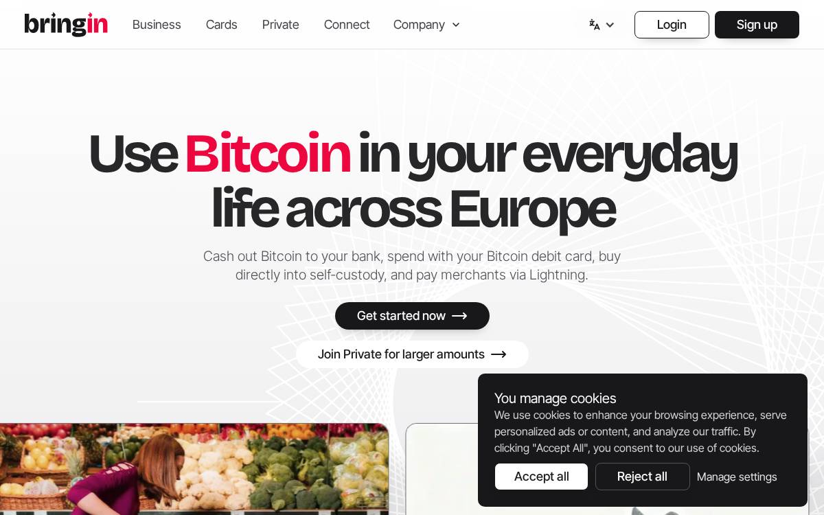 Bringin website preview