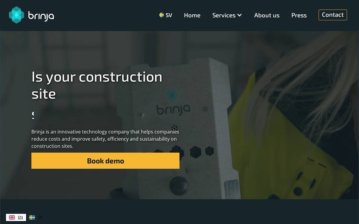 Brinja website preview