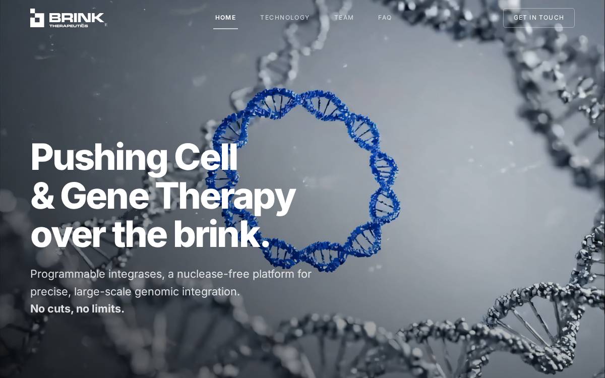 Brink Therapeutics website preview