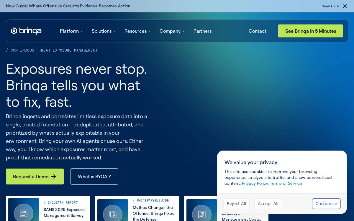 Brinqa website preview