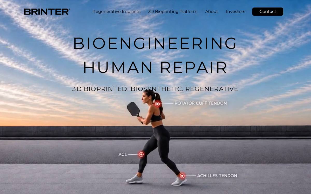 Brinter website preview