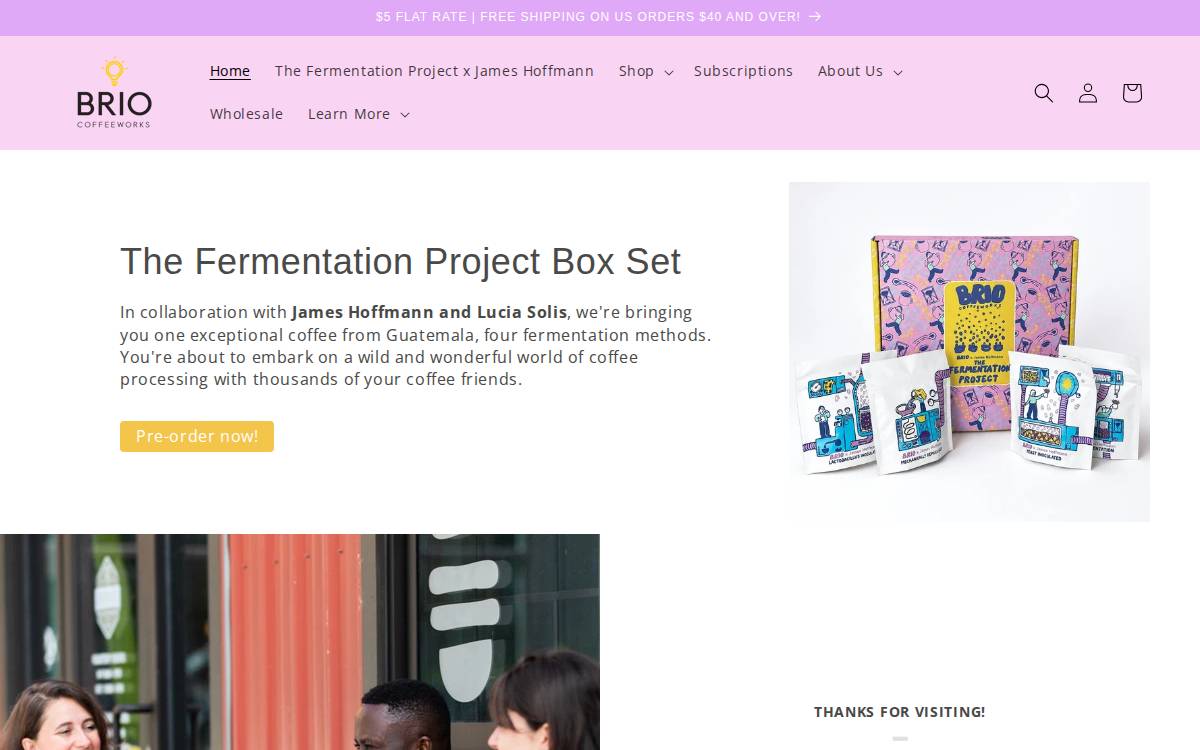Brio Coffeeworks website preview