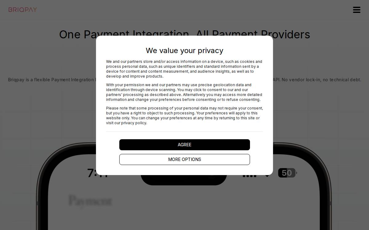 Briqpay website preview