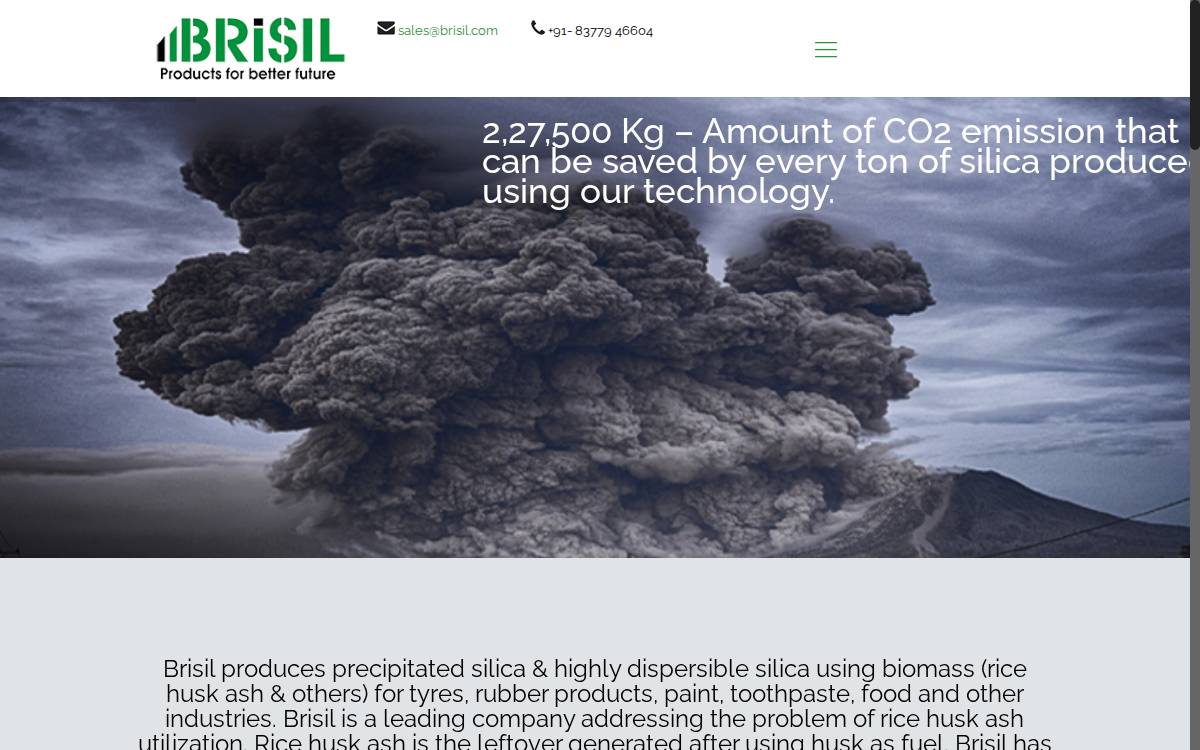 Brisil website preview