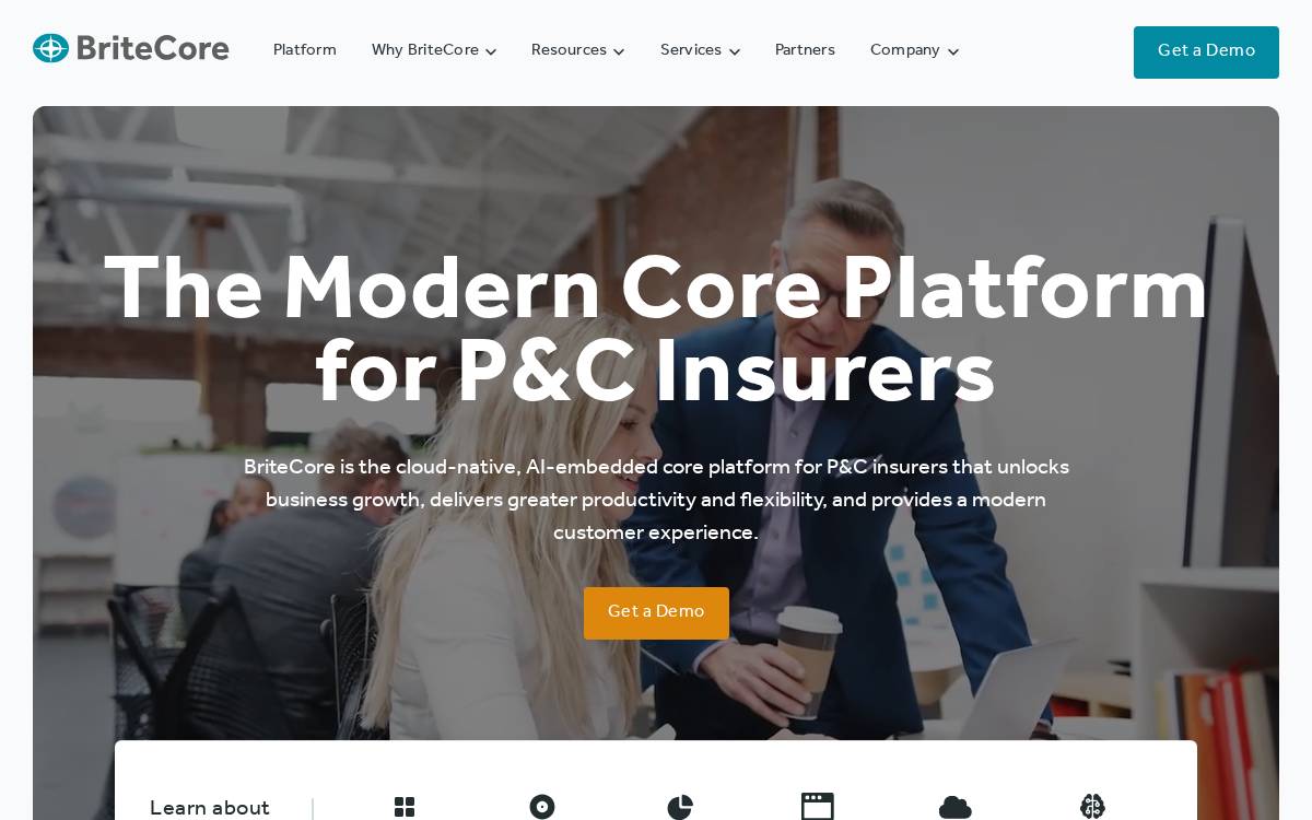 Britecore website preview