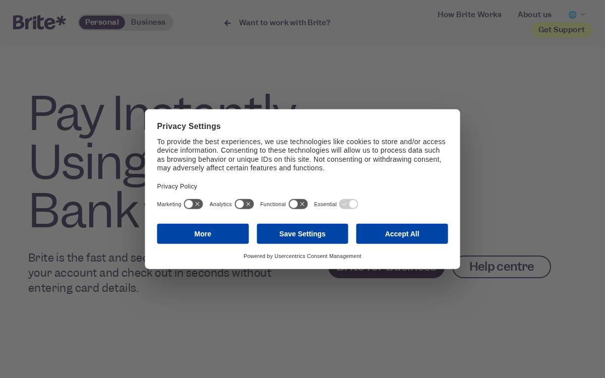 Brite Payments website preview
