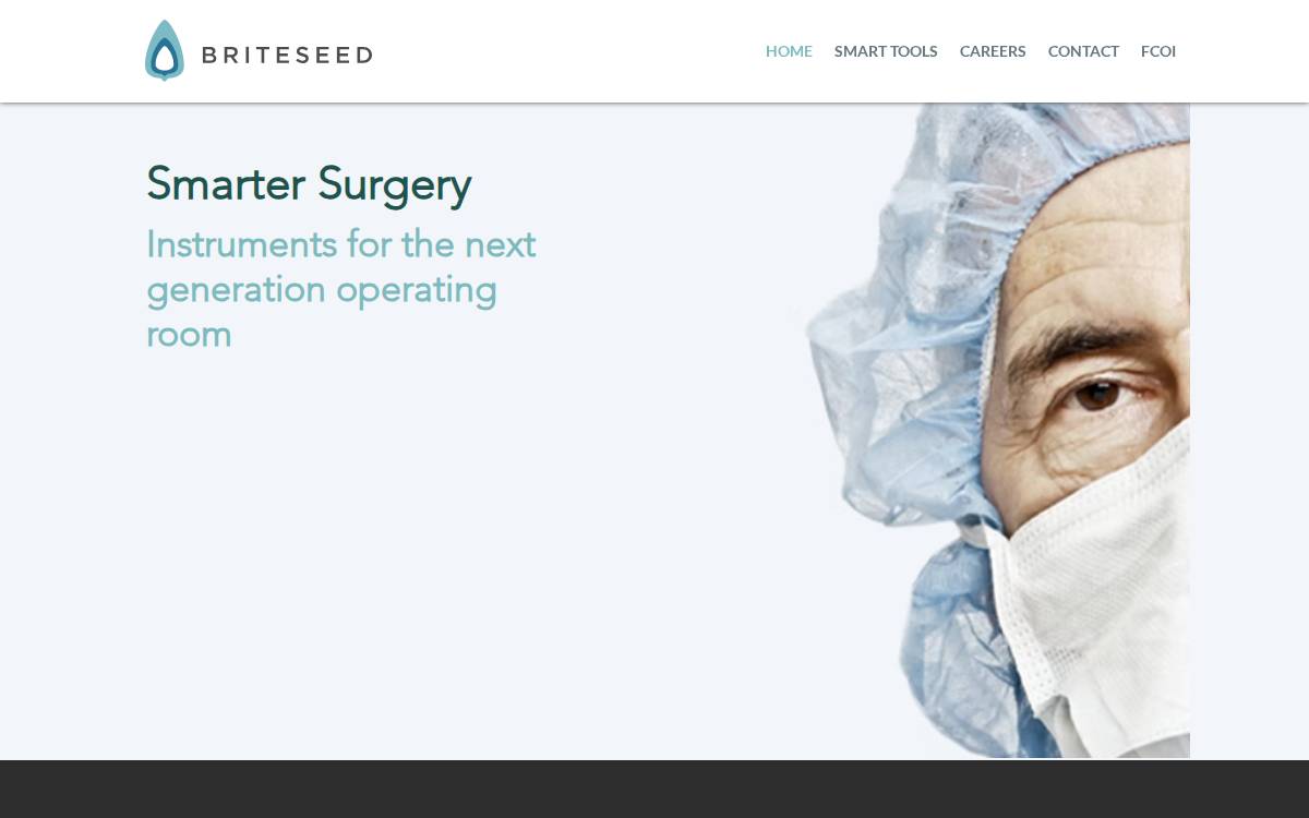 Briteseed website preview