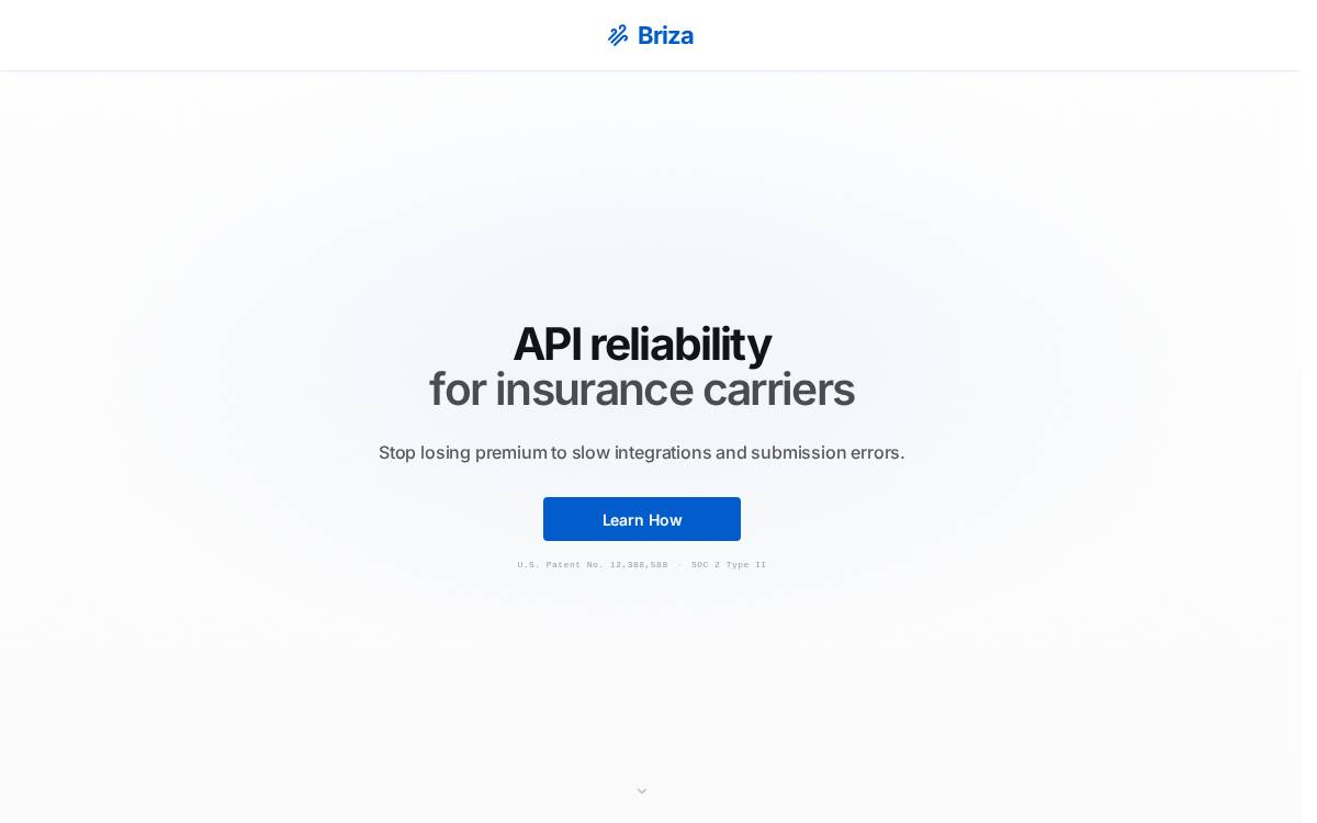 Briza website preview